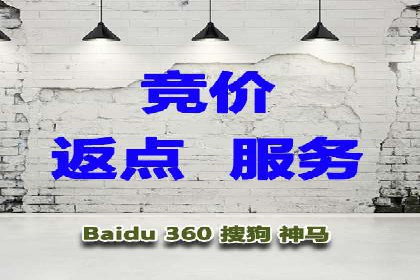 经典案例：SEM代运营服务公司的成功之路